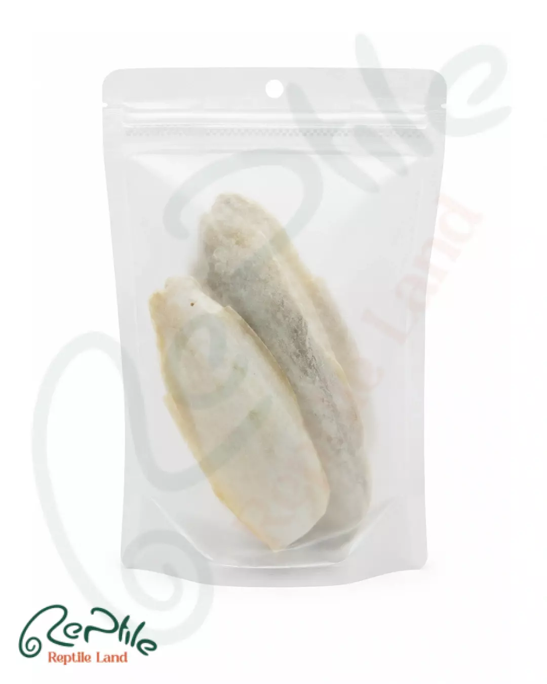 مکمل کلسیم خزندگان (Cuttle Bone)