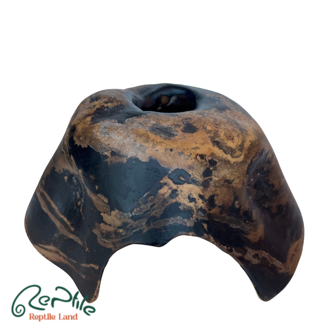 هاید سفالی خزندگان