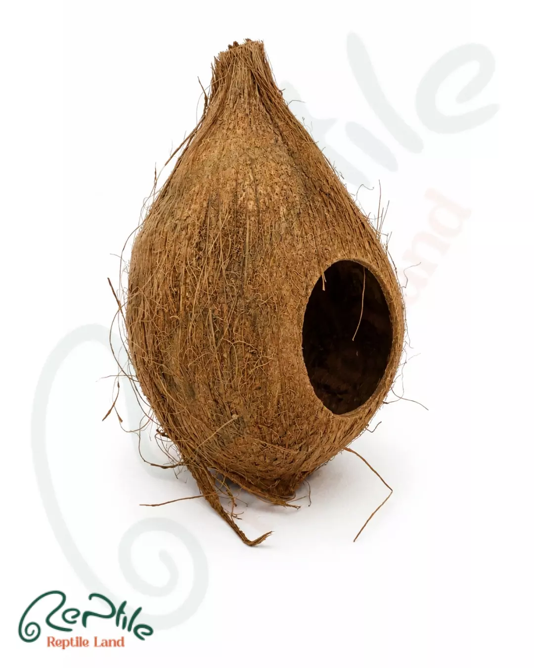 هاید نارگیل طبیعی 
