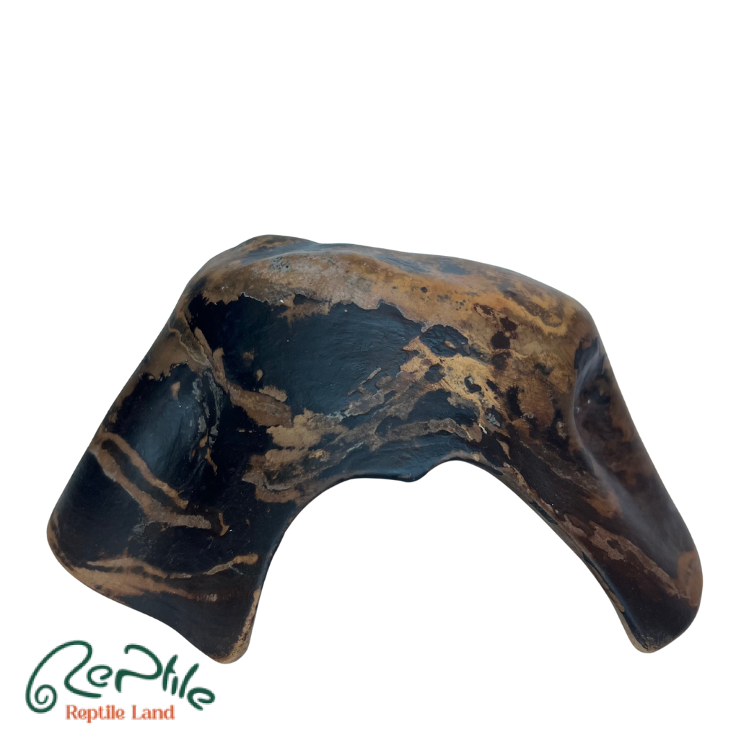 هاید سفالی خزندگان