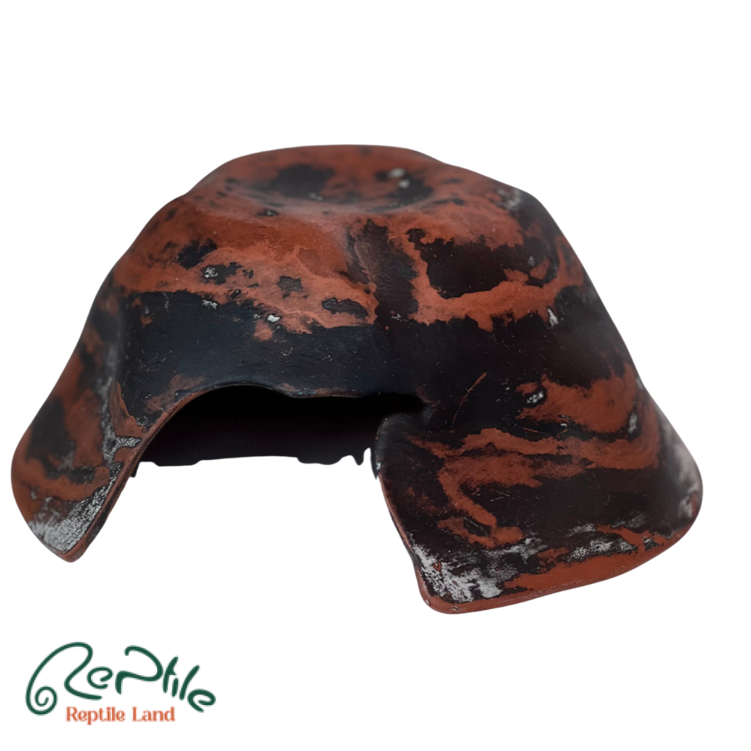 هاید سفالی خزندگان