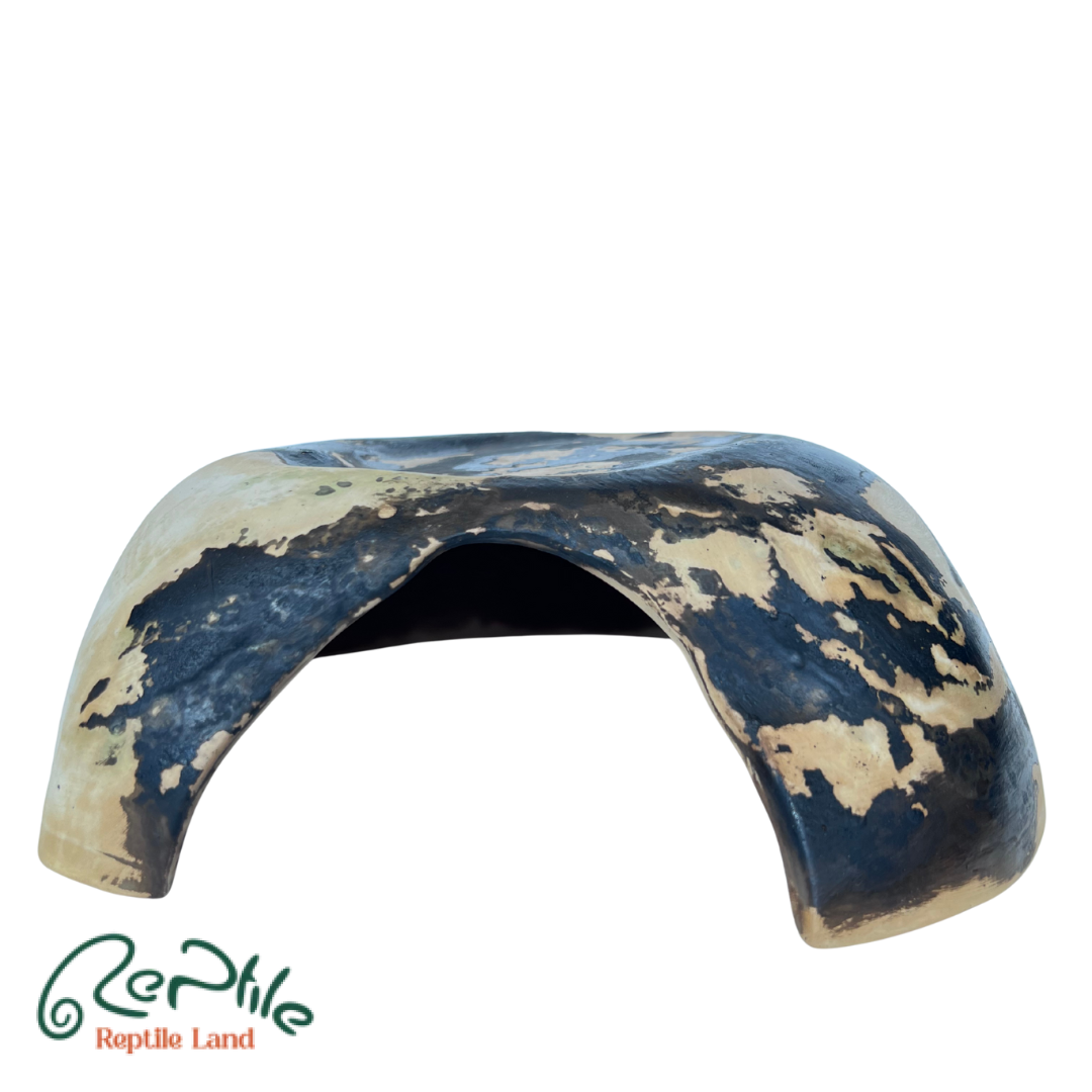 هاید سفالی خزندگان