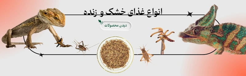 انواع غذای خشک و زنده خزندگان
