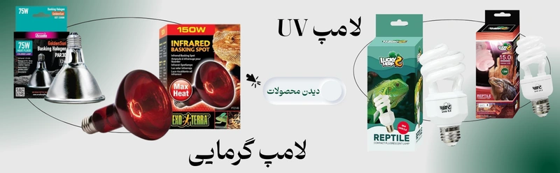انواع لامپ UV و گرمایی