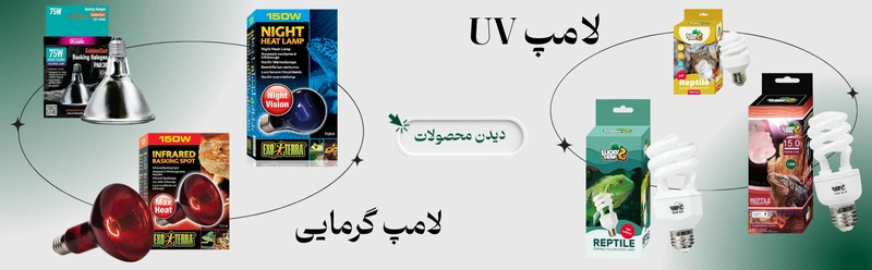 انواع لامپ UV و گرمایی