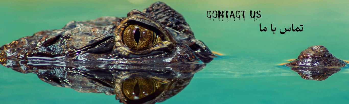 با ما در ارتباط باشید