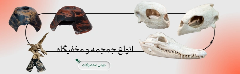 انواع جمجمه و مخفیگاه خزندگان