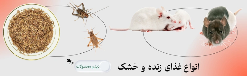 انواع غذای خشک و زنده خزندگان