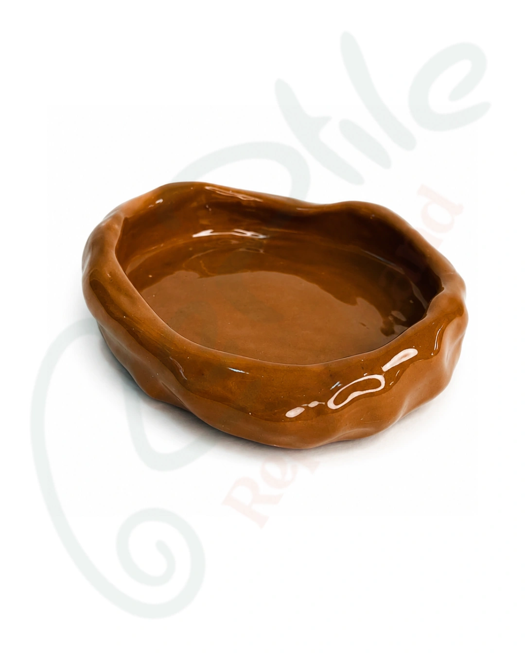 ظرف آب خزندگان سایز متوسط
