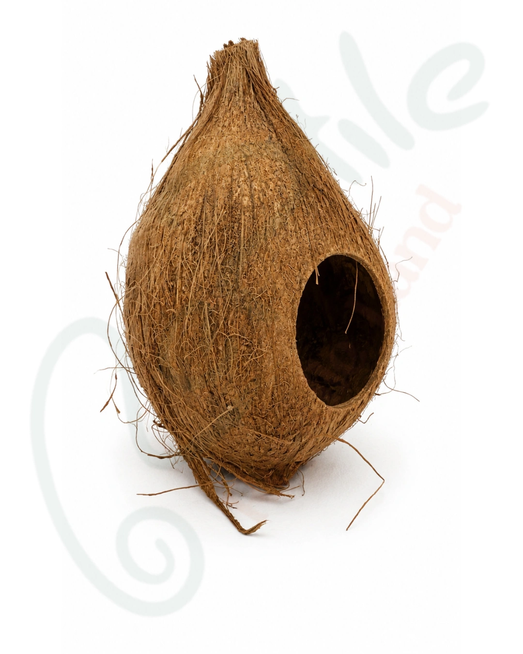هاید نارگیل طبیعی 